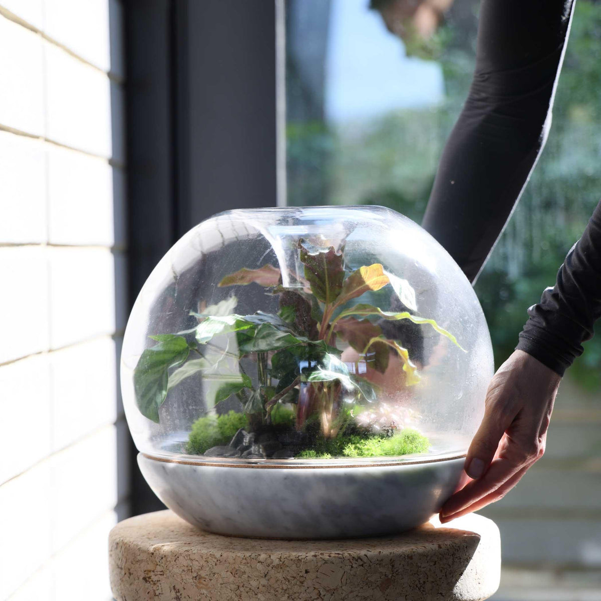 Living Biodome