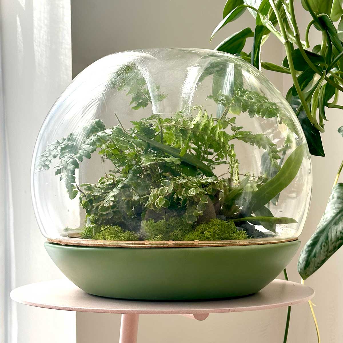 Biodome