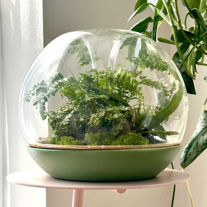 Biodome