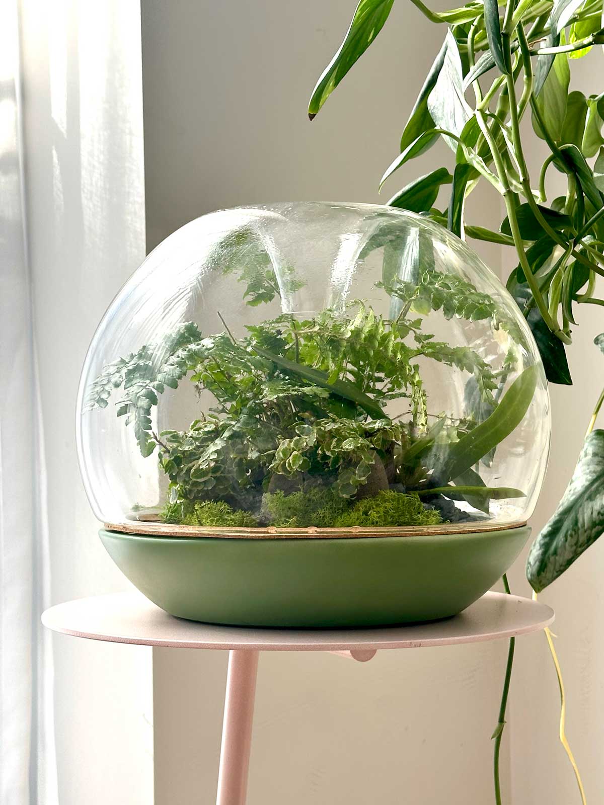 Botanica Boutique - Biodome