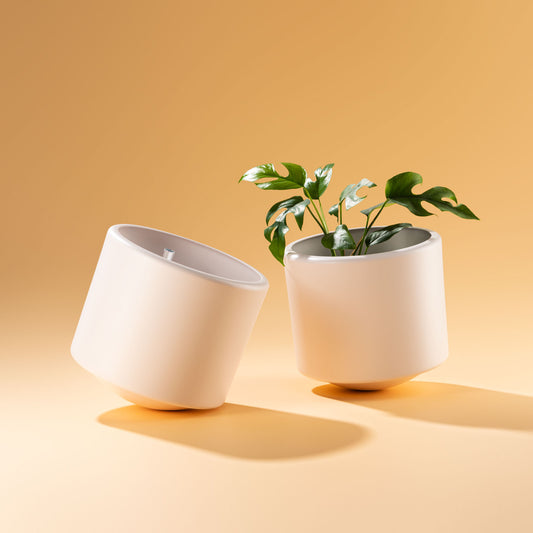 Skye Planter