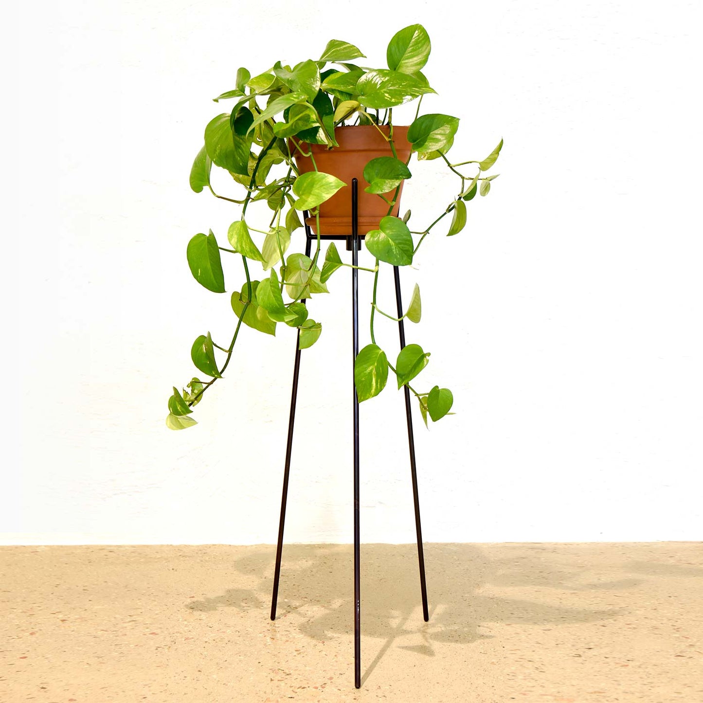 Wire Bronze