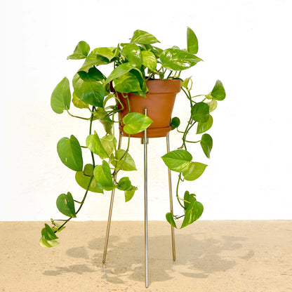 Wire Bronze sml