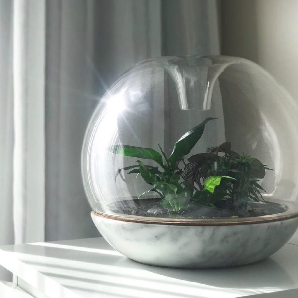 Botanica Boutique - Biodome